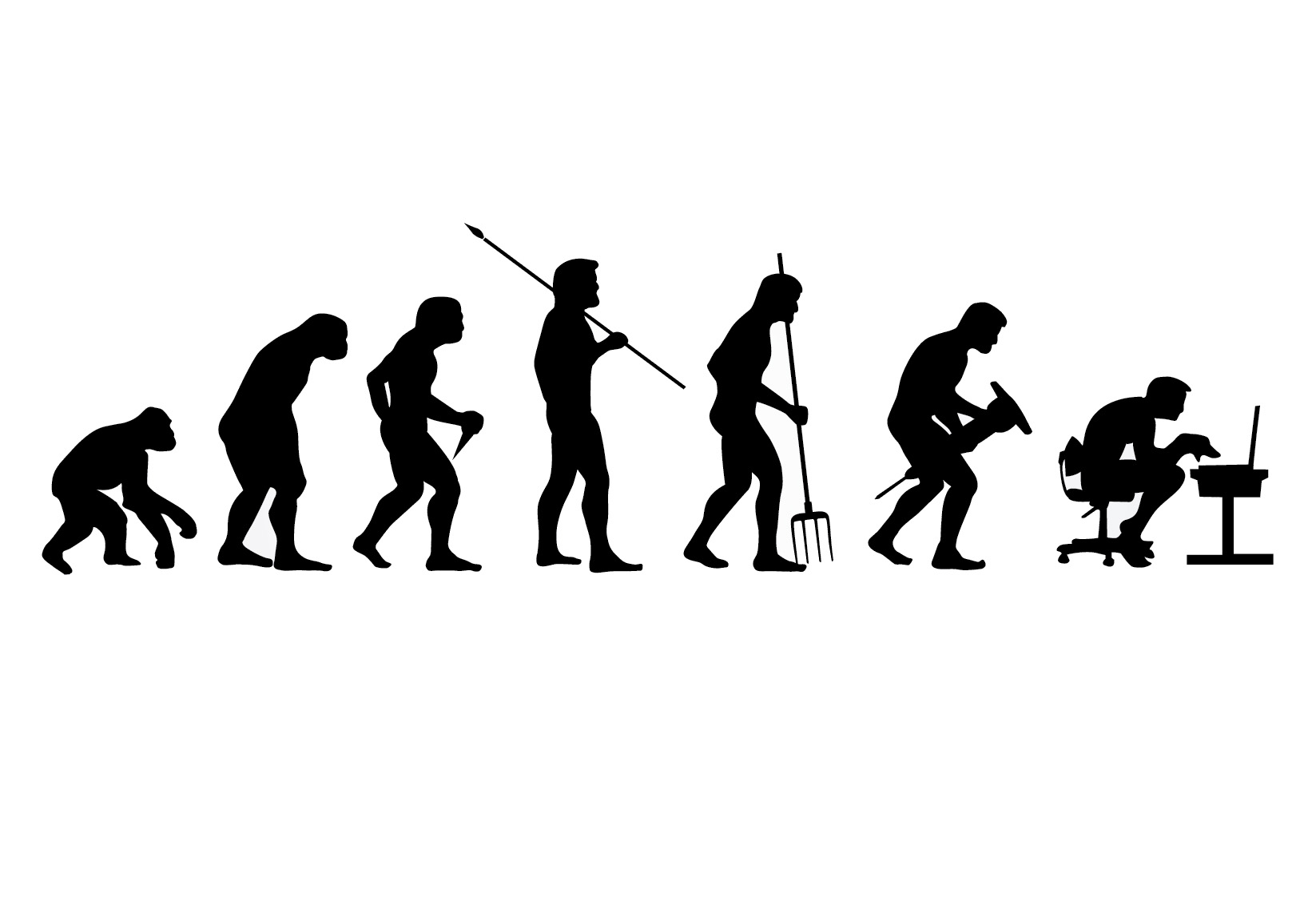 evolution homme